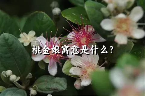 桃金娘寓意是什么？