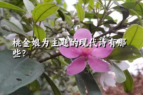 桃金娘为主题的现代诗有那些？