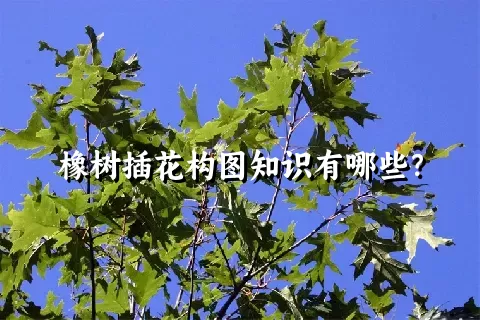 橡树插花构图知识有哪些？