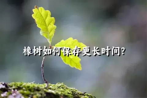 橡树如何保存更长时间？