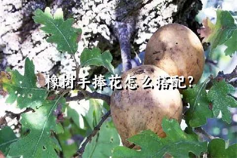 橡树手捧花怎么搭配？