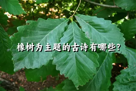 橡树为主题的古诗有哪些？