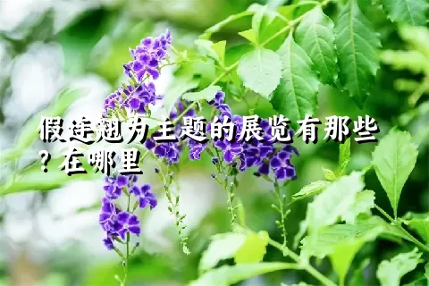 假连翘为主题的展览有那些？在哪里