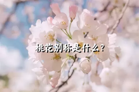 桃花别称是什么？