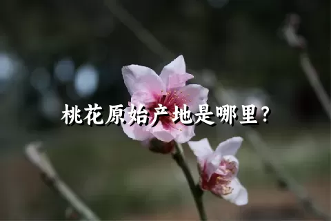 桃花原始产地是哪里？