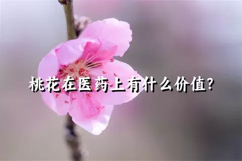 桃花在医药上有什么价值？