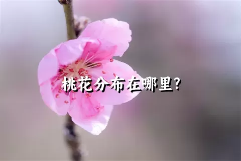 桃花分布在哪里?