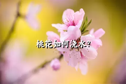 桃花如何浇水？