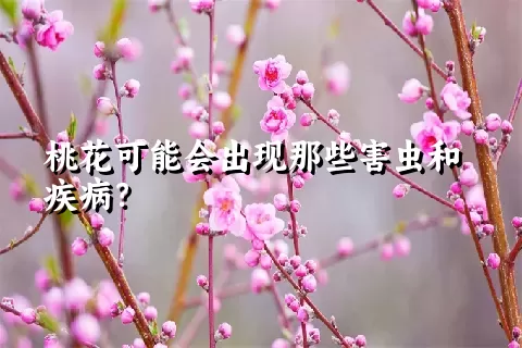 桃花可能会出现那些害虫和疾病？