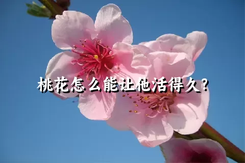 桃花怎么能让他活得久？