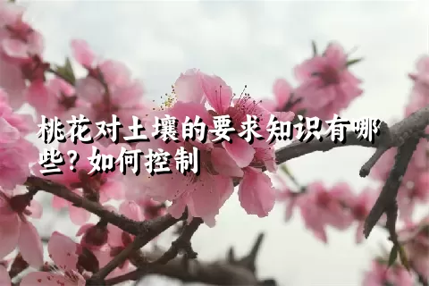 桃花对土壤的要求知识有哪些？如何控制