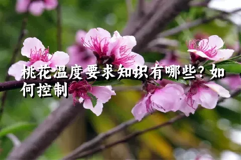 桃花温度要求知识有哪些？如何控制