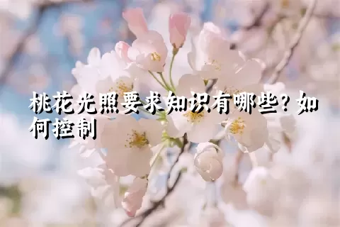 桃花光照要求知识有哪些？如何控制