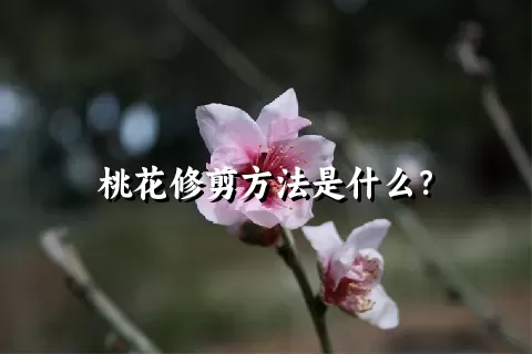 桃花修剪方法是什么？