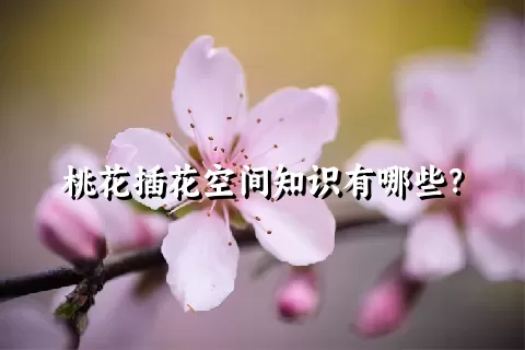 桃花插花空间知识有哪些？