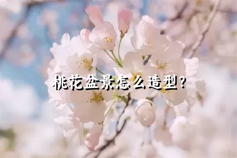 桃花盆景怎么造型？