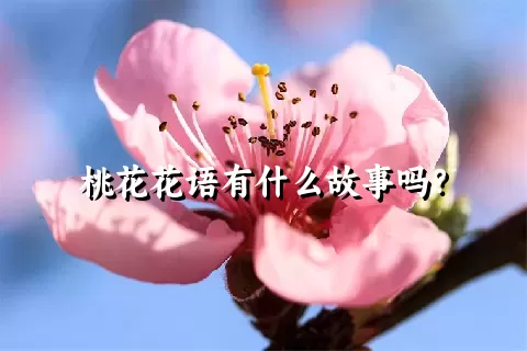 桃花花语有什么故事吗？