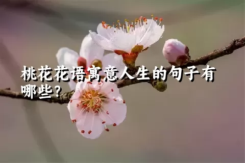 桃花花语寓意人生的句子有哪些？