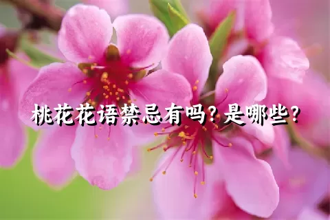 桃花花语禁忌有吗？是哪些？