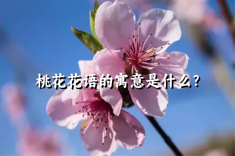 桃花花语的寓意是什么？