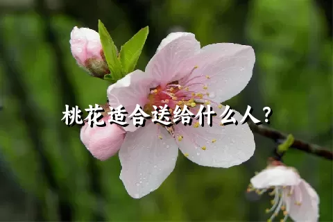 桃花适合送给什么人？