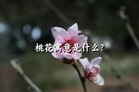 桃花寓意是什么？