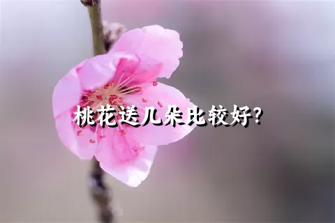 桃花送几朵比较好？