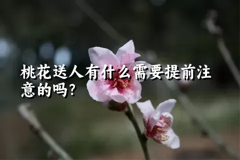 桃花送人有什么需要提前注意的吗？