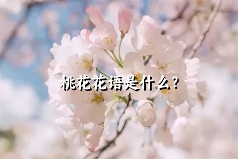 桃花花语是什么？