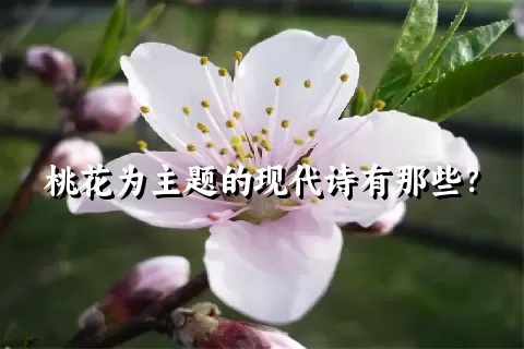 桃花为主题的现代诗有那些？