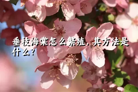 垂枝海棠怎么繁殖，其方法是什么？