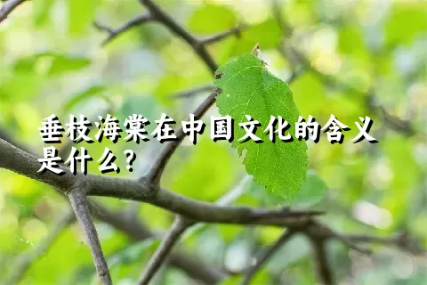 垂枝海棠在中国文化的含义是什么？