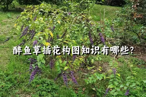 醉鱼草插花构图知识有哪些？