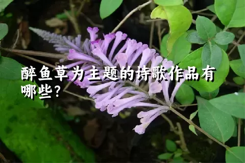 醉鱼草为主题的诗歌作品有哪些？