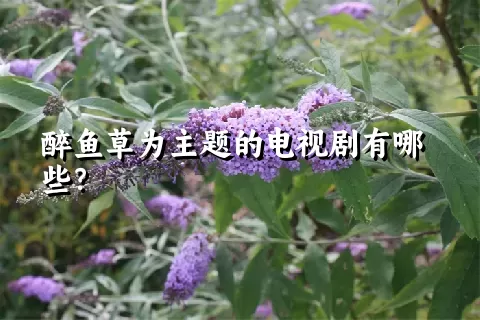 醉鱼草为主题的电视剧有哪些？