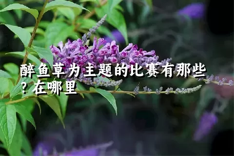 醉鱼草为主题的比赛有那些？在哪里