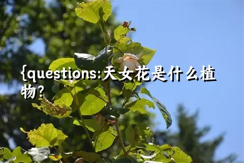 天女花是什么植物？