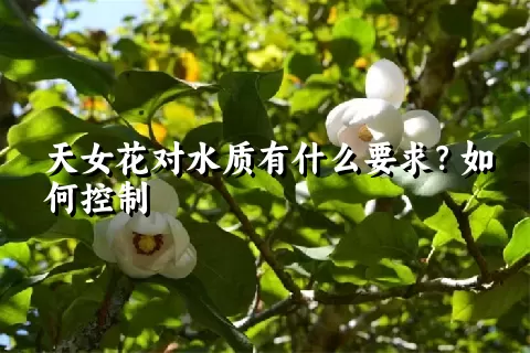 天女花对水质有什么要求？如何控制