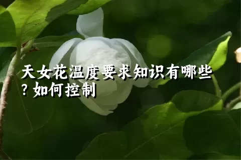 天女花温度要求知识有哪些？如何控制