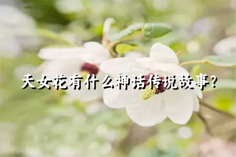 天女花有什么神话传说故事？