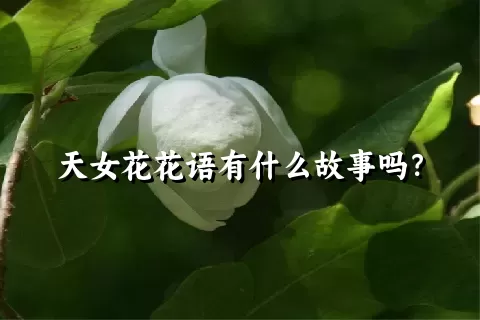 天女花花语有什么故事吗？