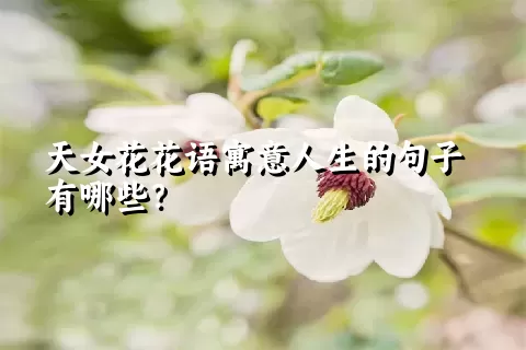 天女花花语寓意人生的句子有哪些？