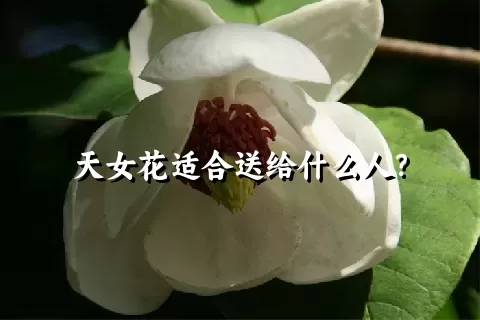 天女花适合送给什么人？