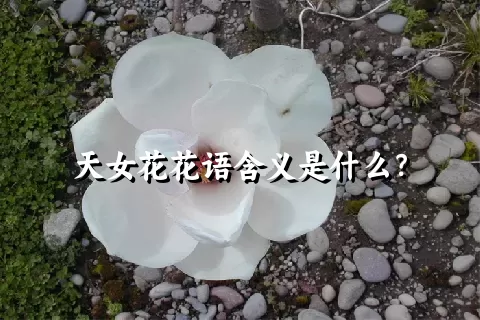 天女花花语含义是什么？