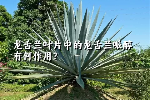 龙舌兰叶片中的龙舌兰哌醇有何作用？