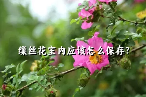 缫丝花室内应该怎么保存？