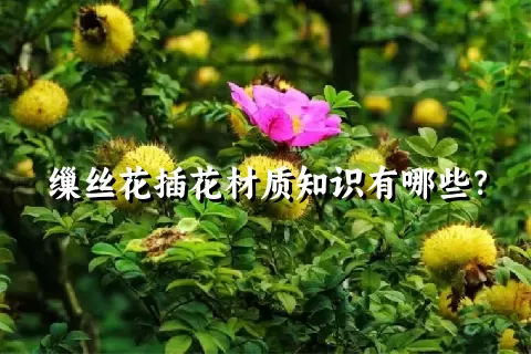 缫丝花插花材质知识有哪些？