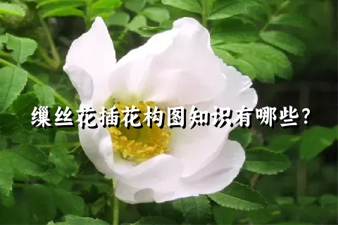 缫丝花插花构图知识有哪些？