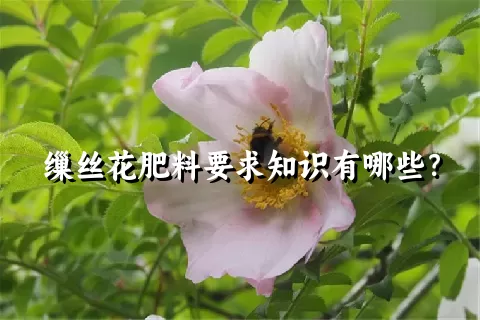 缫丝花肥料要求知识有哪些？