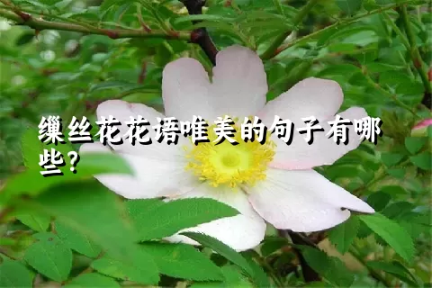 缫丝花花语唯美的句子有哪些？